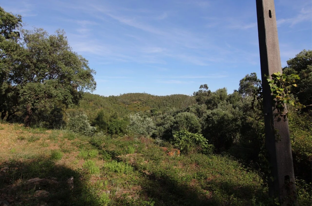 Terreno para Venda em Marmelete Foto 7