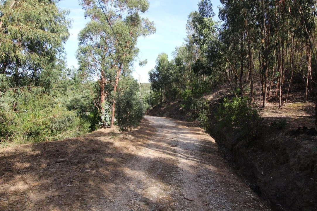 Terreno para Venda em Marmelete Foto 3