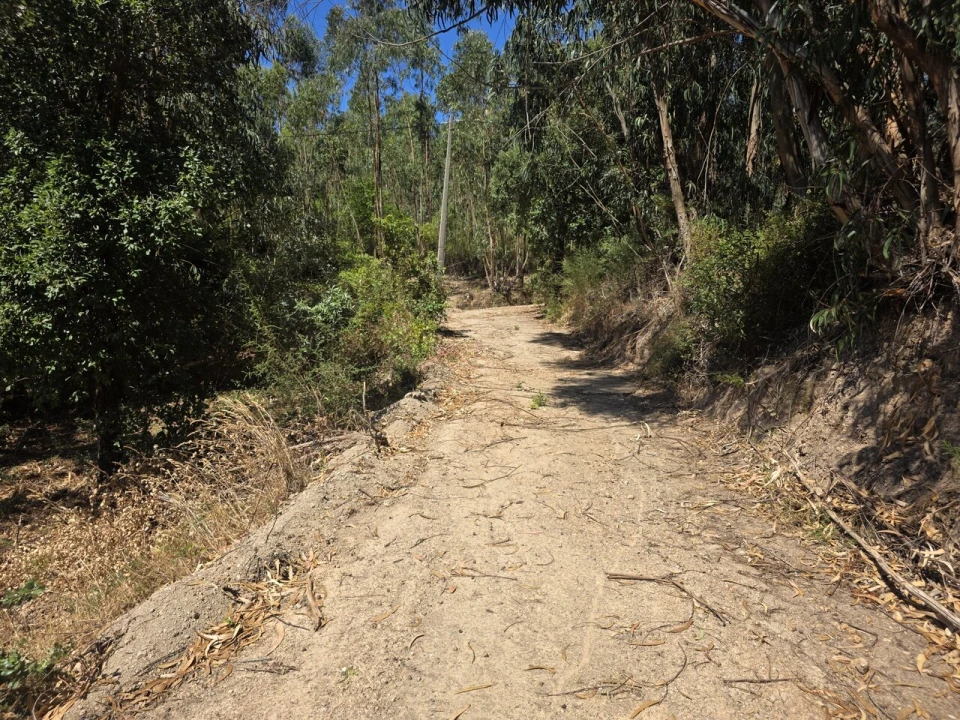 Terreno para Venda em Marmelete Foto 4