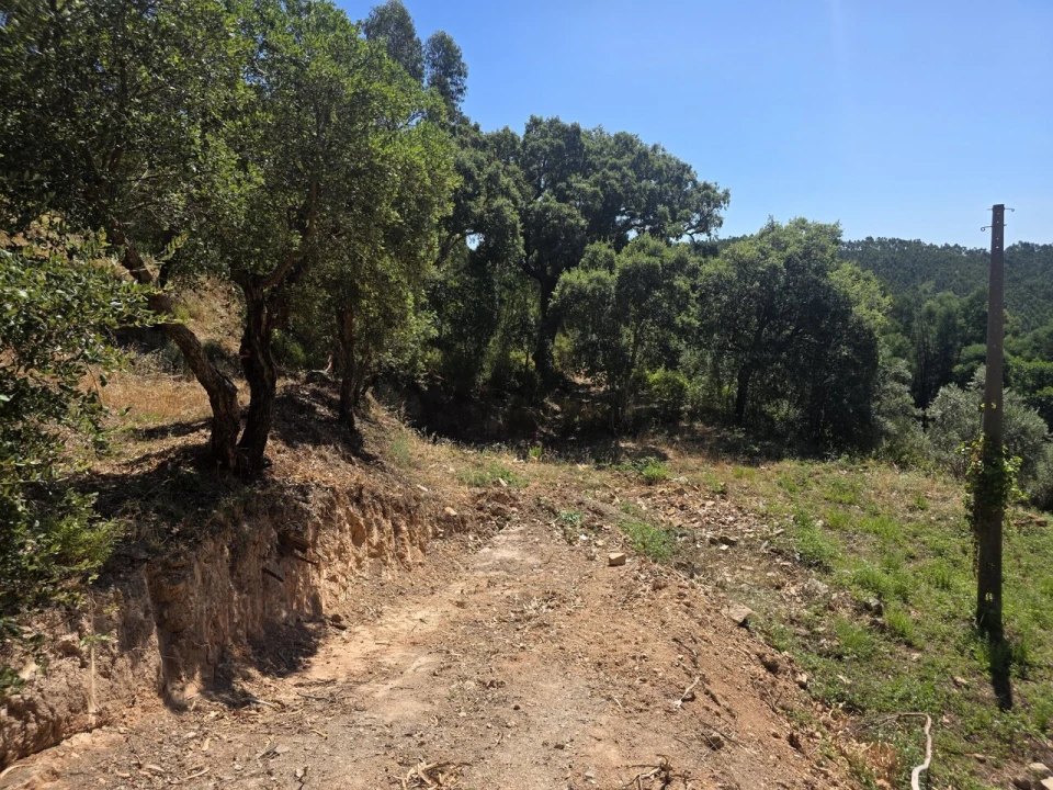 Terreno para Venda em Marmelete Foto 1