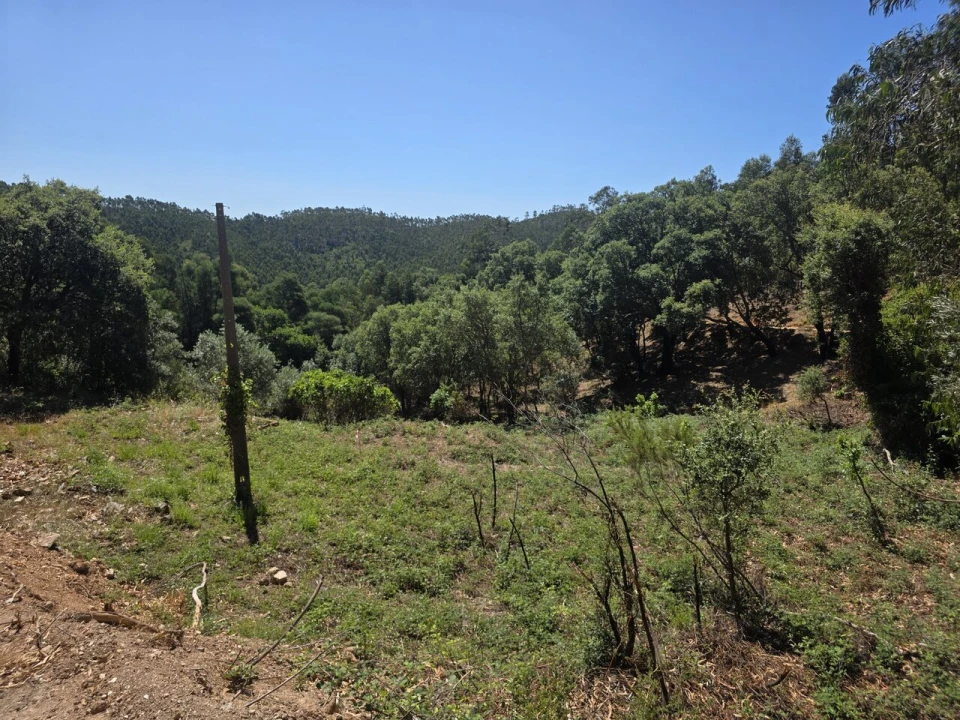 Terreno para Venda em Marmelete Foto 15