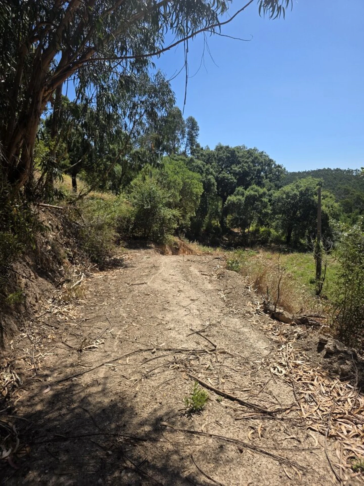 Terreno para Venda em Marmelete Foto 17