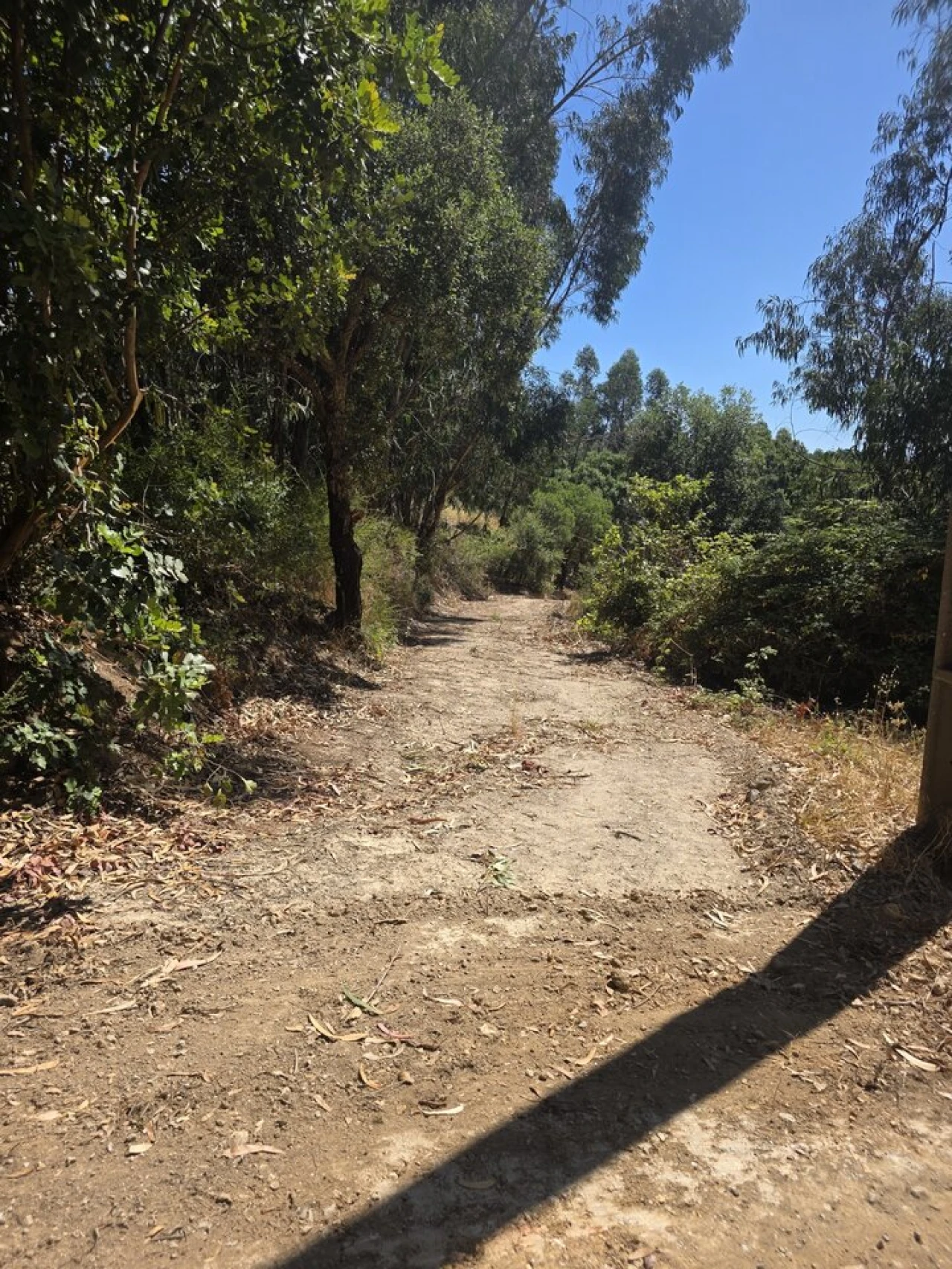 Terreno para Venda em Marmelete Foto 3