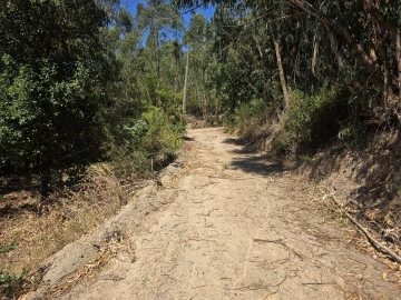 Terreno para Venda em Marmelete