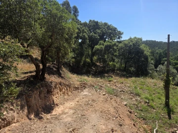 Terreno para Venda em Marmelete