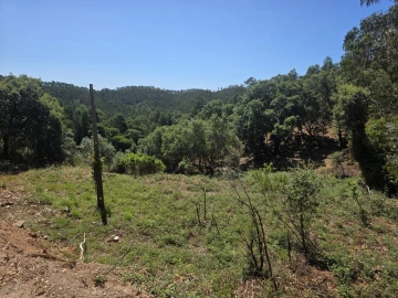 Terreno para Venda em Marmelete