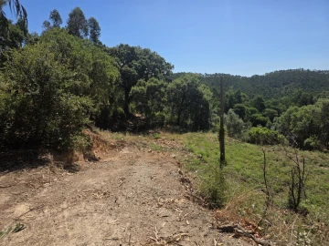 Terreno para Venda em Marmelete
