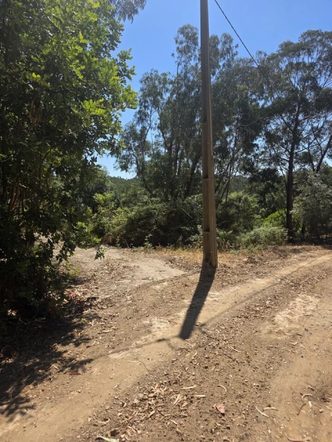 Terreno para Venda em Marmelete