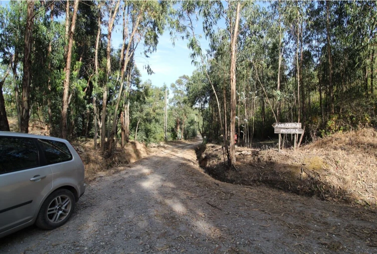 Terreno para Venda em Marmelete Foto 6