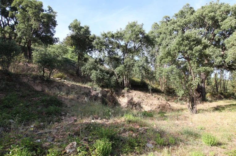 Terreno para Venda em Marmelete Foto 2