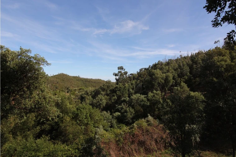 Terreno para Venda em Marmelete Foto 4