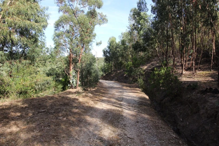 Terreno para Venda em Marmelete Foto 3
