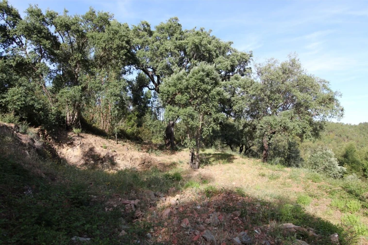 Terreno para Venda em Marmelete Foto 9