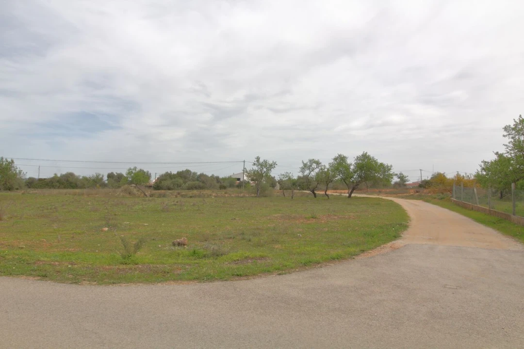 Terreno para Venda em Silves Foto 4
