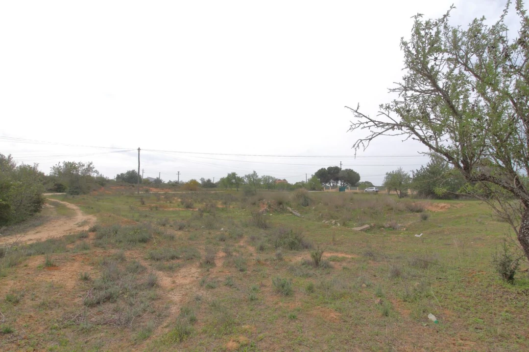 Terreno para Venda em Silves Foto 2