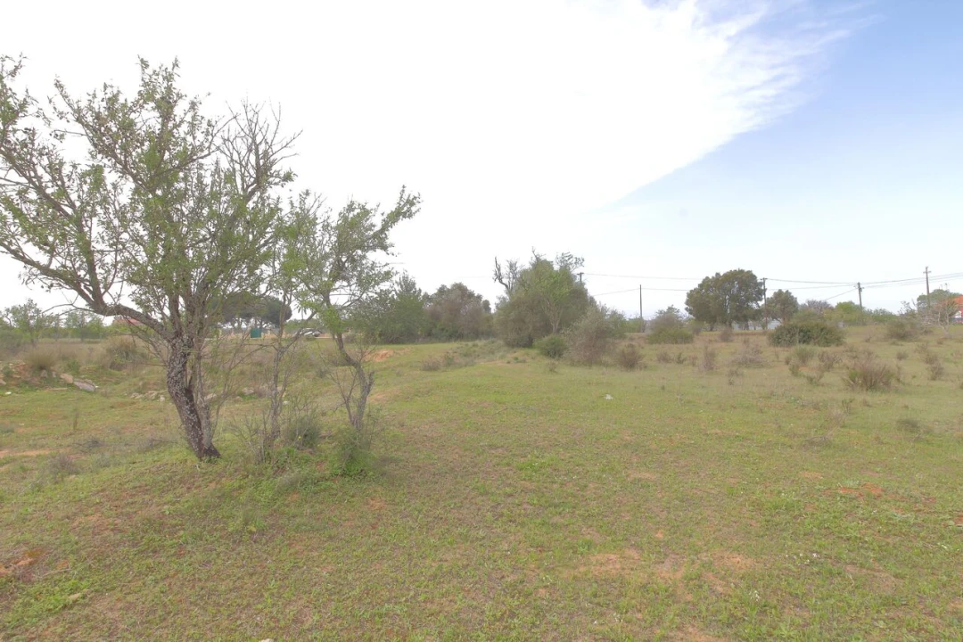 Terreno para Venda em Silves Foto 1