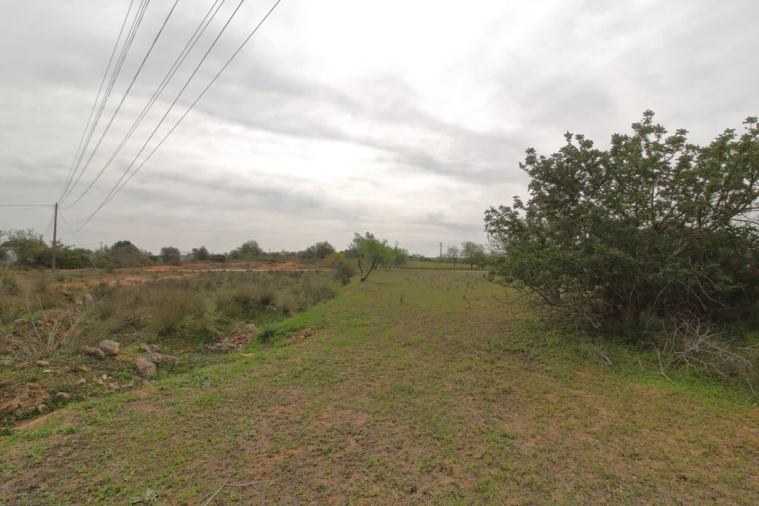 Terreno para Venda em Silves Foto 7