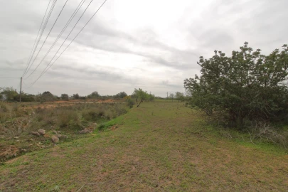 Terreno para Venda em Silves