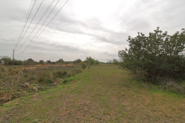 Terreno para Venda em Silves Foto 7