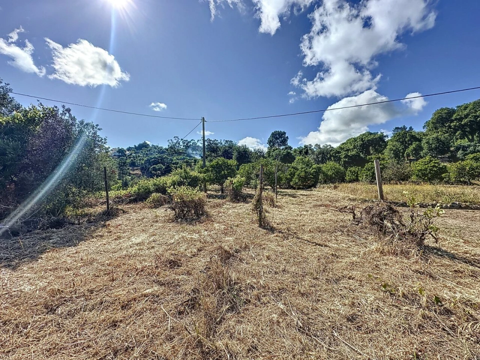 Quinta T3 para Venda em Monchique Foto 12