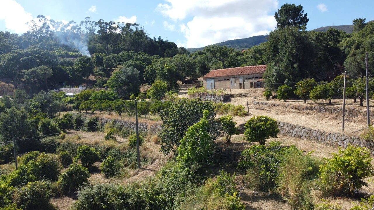 Quinta T3 para Venda em Monchique Foto 7