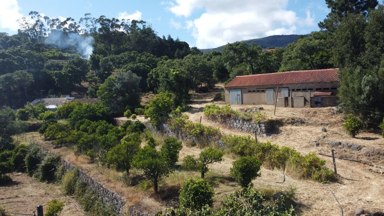 Quinta T3 para Venda em Monchique Foto 18