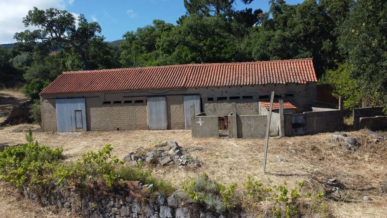 Quinta T3 para Venda em Monchique Foto 5