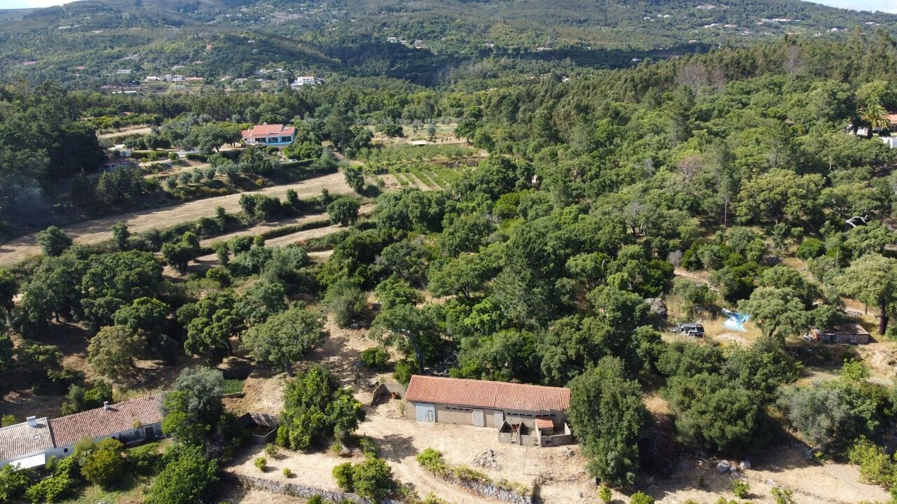 Quinta T3 para Venda em Monchique Foto 19