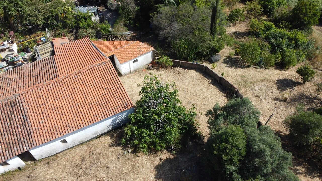 Quinta T3 para Venda em Monchique Foto 20