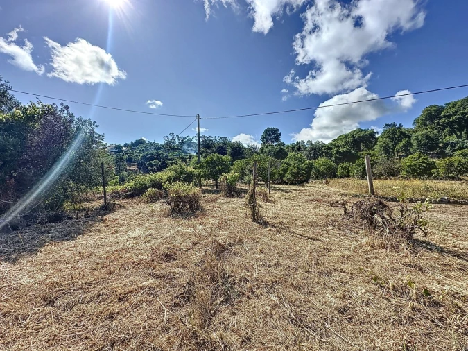 Quinta T3 para Venda em Monchique Foto 12