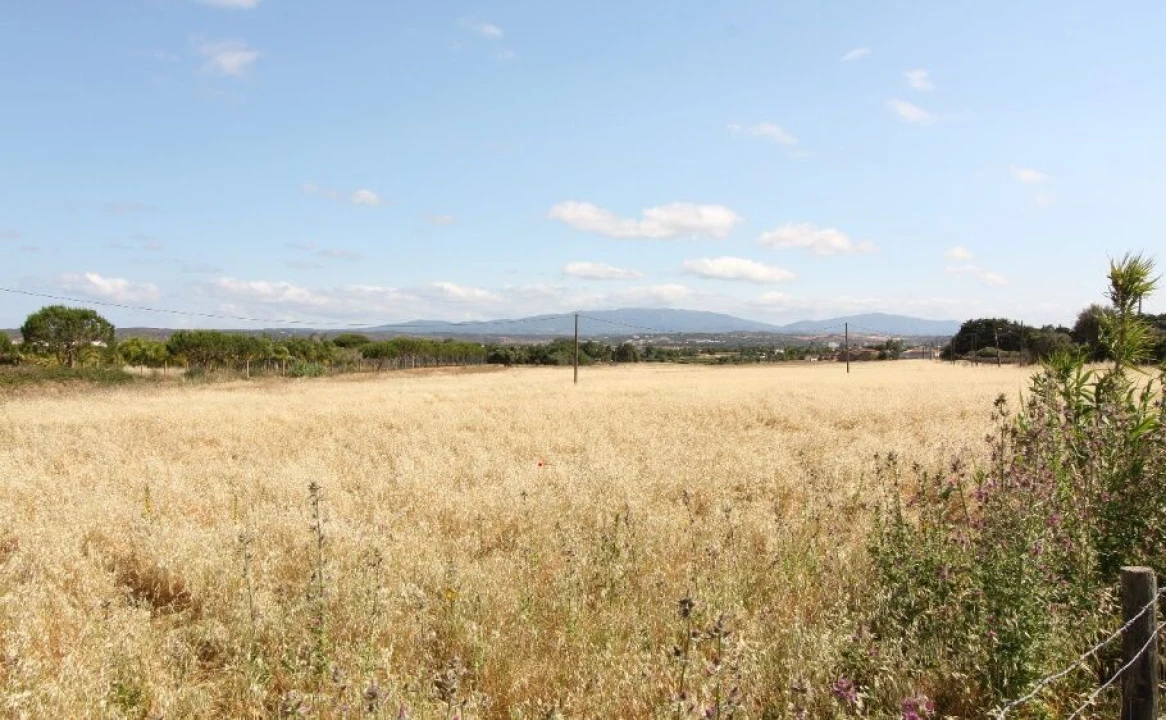 Terreno para Venda em Odiaxere Foto 8
