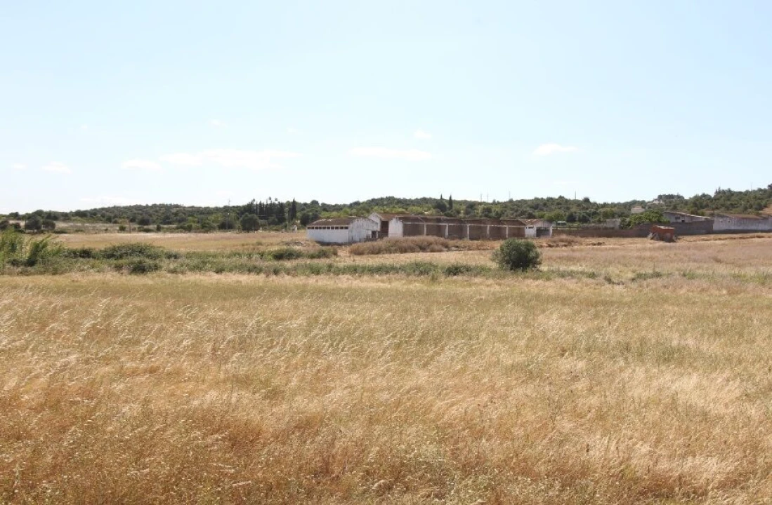 Terreno para Venda em Odiaxere Foto 7