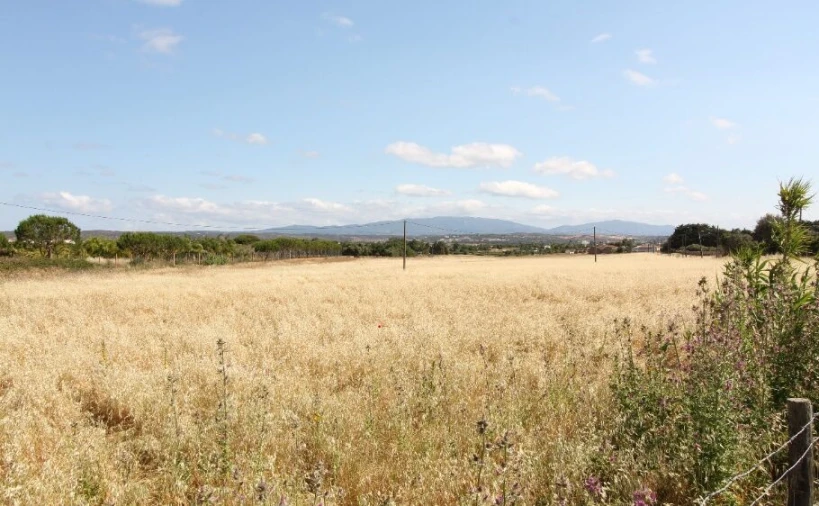 Terreno para Venda em Odiaxere Foto 8