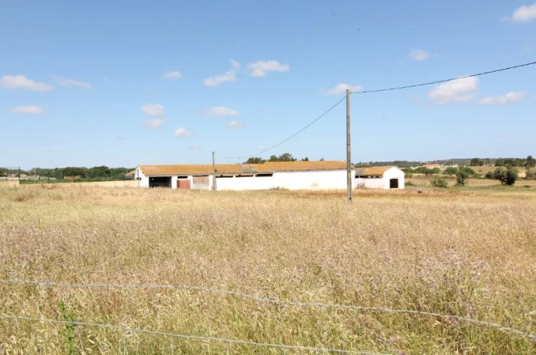 Terreno para Venda em Odiaxere Foto 2