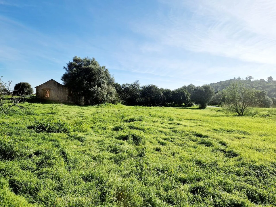 Terreno para Venda em Bensafrim e Barão de São João Foto 3