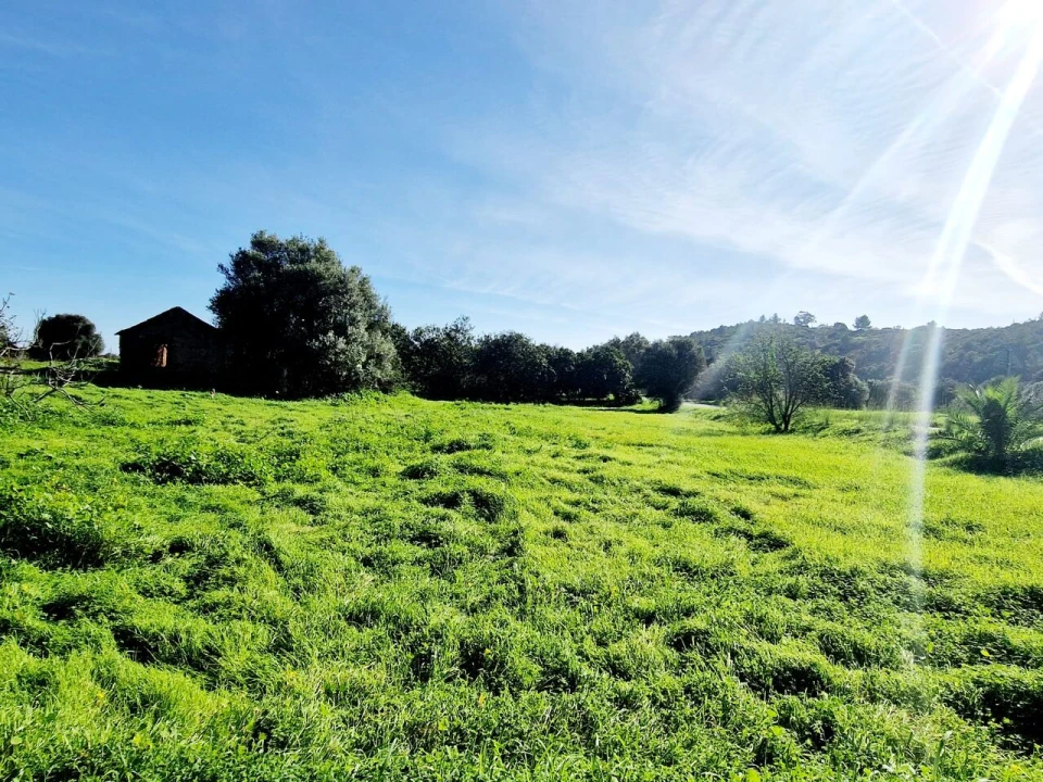 Terreno para Venda em Bensafrim e Barão de São João Foto 17