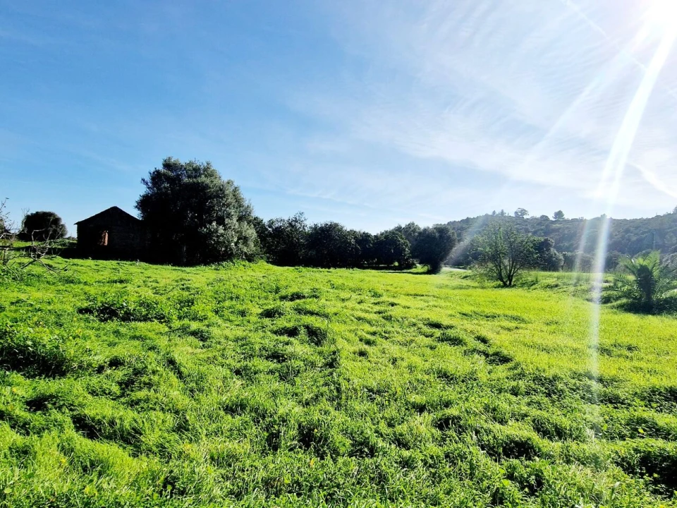 Terreno para Venda em Bensafrim e Barão de São João Foto 22