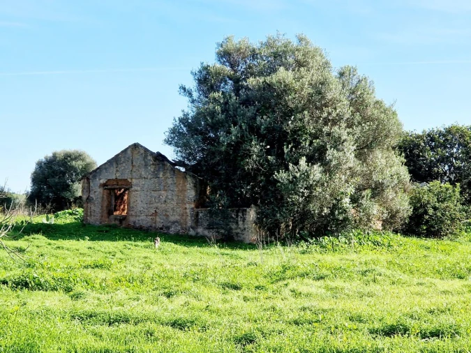 Terreno para Venda em Bensafrim e Barão de São João Foto 2