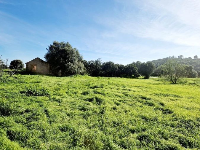 Terreno para Venda em Bensafrim e Barão de São João Foto 3