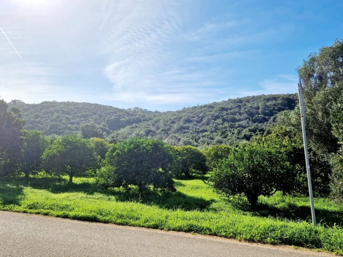 Terreno para Venda em Bensafrim e Barão de São João Foto 9