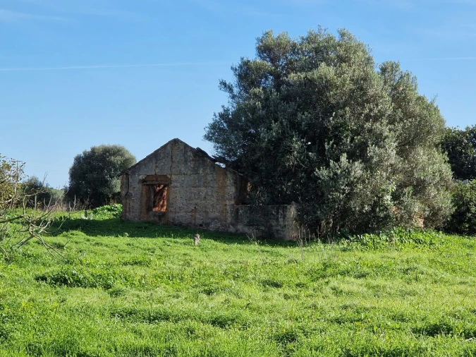 Terreno para Venda em Bensafrim e Barão de São João Foto 10
