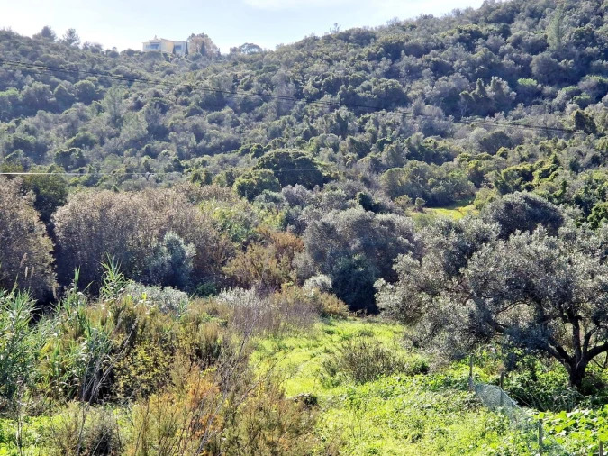 Terreno para Venda em Bensafrim e Barão de São João Foto 12