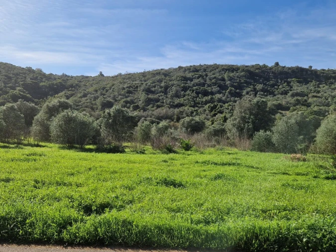 Terreno para Venda em Bensafrim e Barão de São João Foto 13
