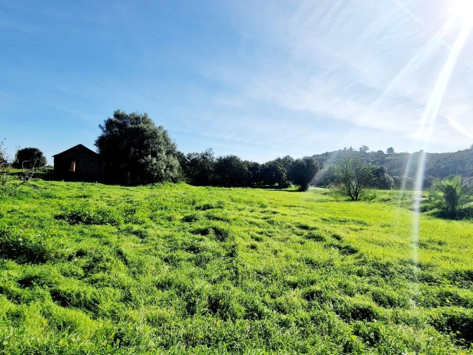 Terreno para Venda em Bensafrim e Barão de São João Foto 22