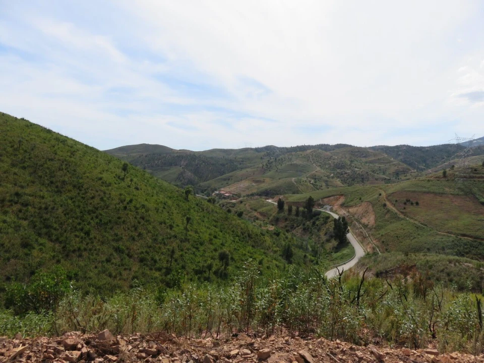 Terreno para Venda em Alferce Foto 7