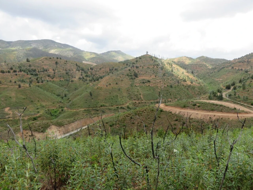 Terreno para Venda em Alferce Foto 10