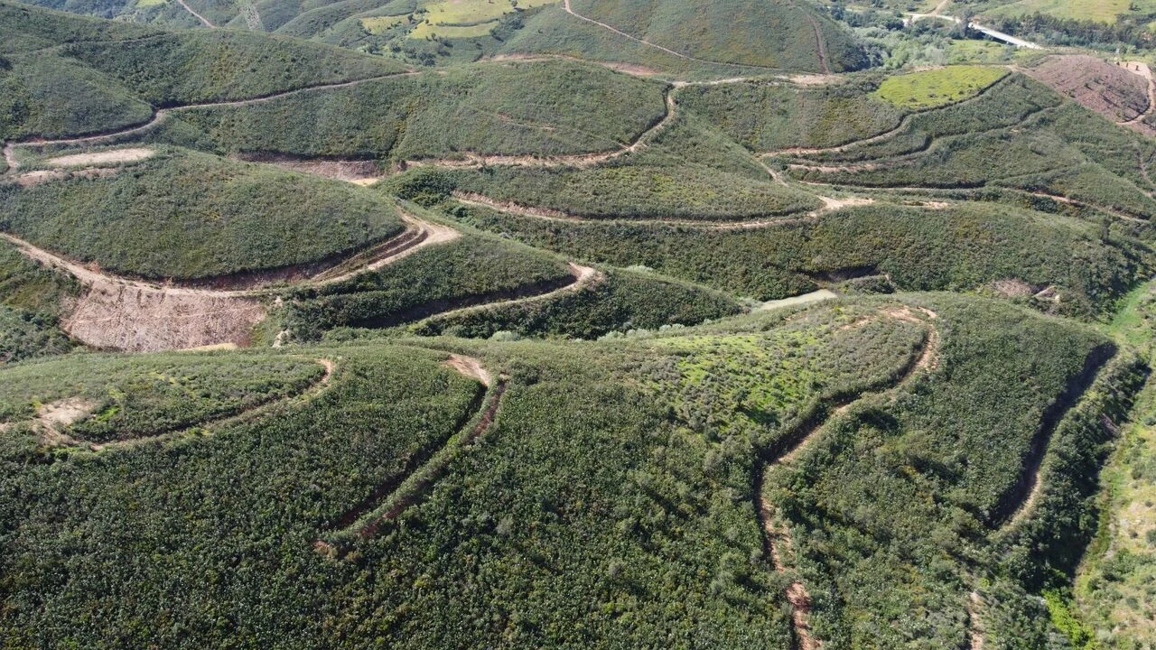 Terreno para Venda em Alferce Foto 17