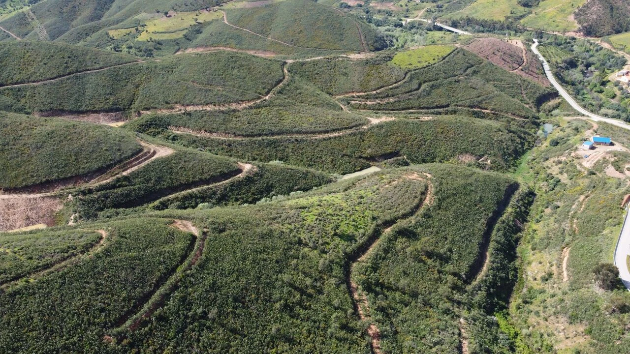 Terreno para Venda em Alferce Foto 18