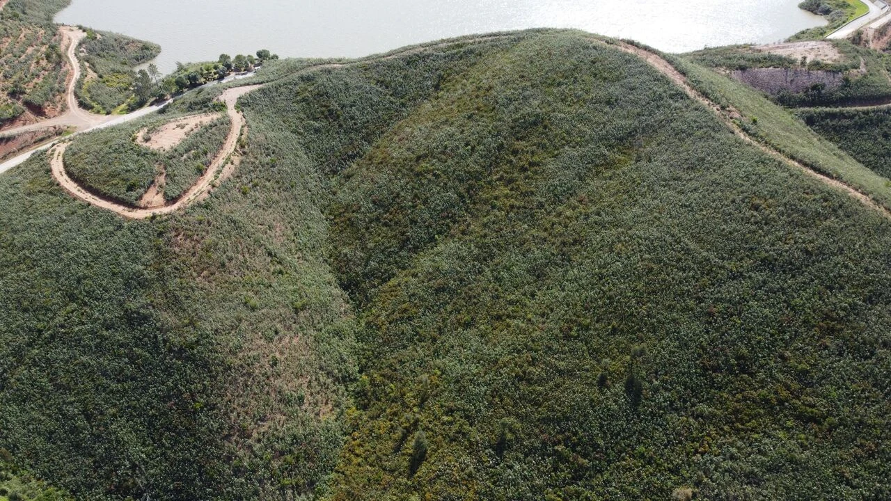 Terreno para Venda em Alferce Foto 19