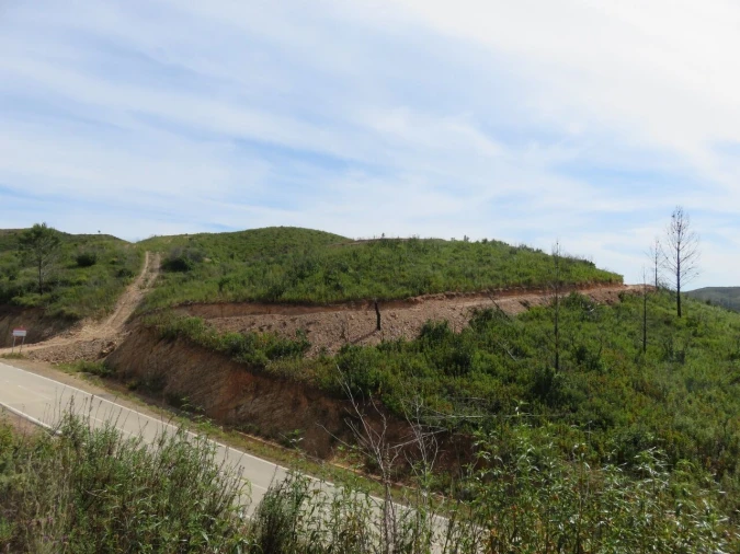 Terreno para Venda em Alferce Foto 6